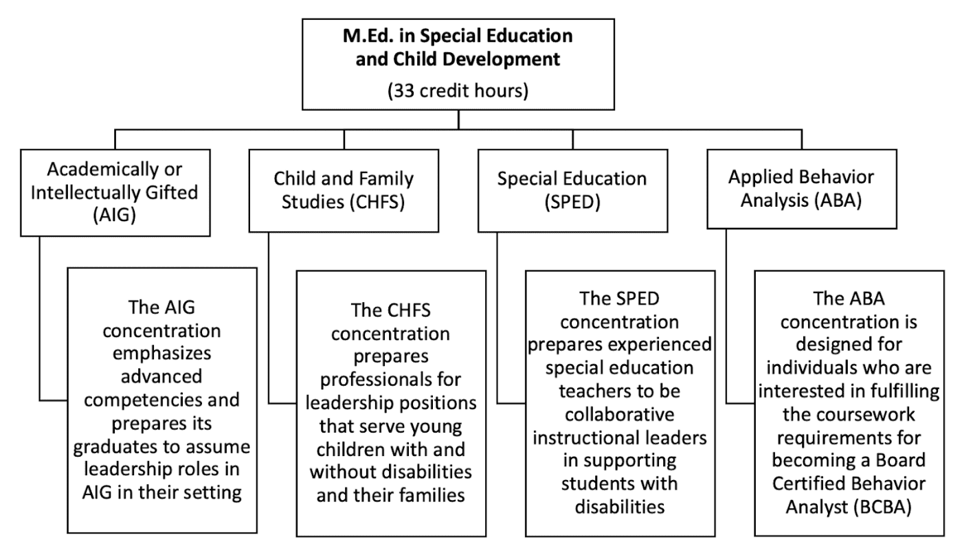 Master of Education (M.Ed.) in Special Education and Child Development